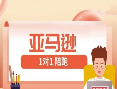 亚马逊1对1陪跑课(FBA/FBM精铺)跨境亚马逊教程-小艾项目网