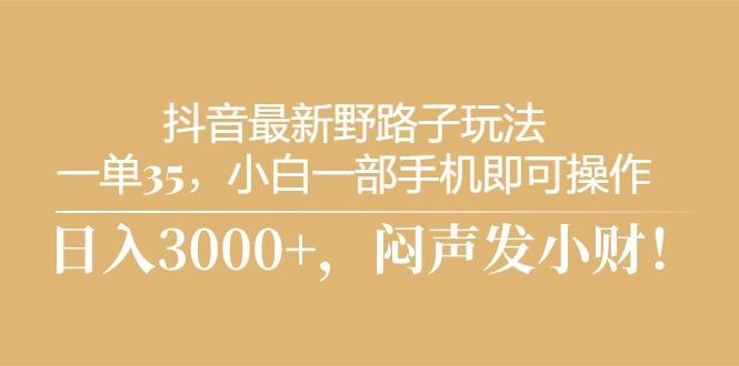 抖音最新野路子玩法，一单35，小白一部手机即可操作，，日入3000+，闷…-百盛轻创