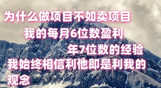 做项目不如卖项目，每月6位数盈利，年7位数经验-百盛轻创
