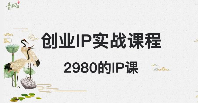 外边卖2980的创业IP课程，做私域月入5w+-小艾项目网