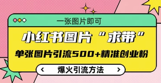 小红书图片‘求带’爆火引流法，单张图片引流500+精准创业粉【揭秘】-小艾项目网