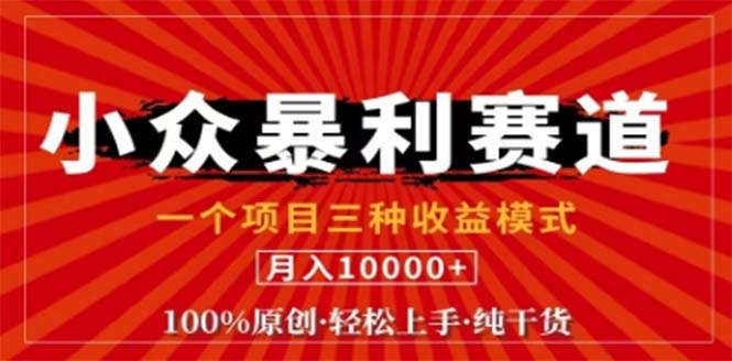 视频号最新爆火赛道，三种可收益模式，0粉新号条条原创条条热门 日入1000+-小艾项目网