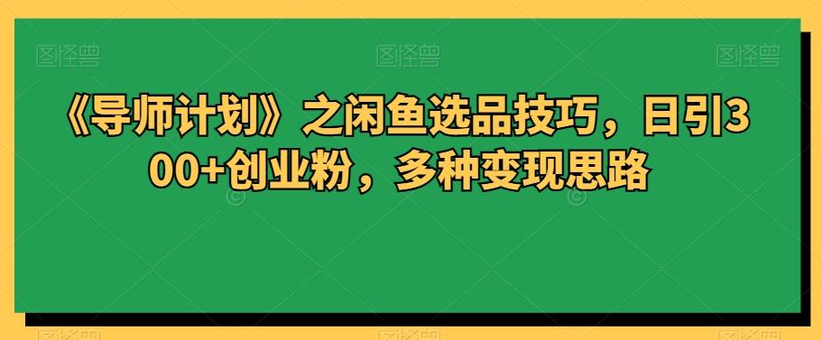 《导师计划》之闲鱼选品技巧，日引300+创业粉，多种变现思路-小艾项目网
