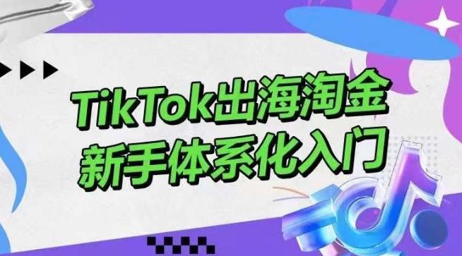TikTok出海淘金，新手体系化入门，零基础快速入门，掌握短视频、直播带货等引流到变现的知识-百盛轻创