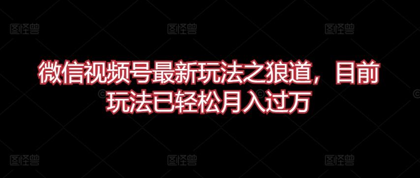 微信视频号最新玩法之狼道，目前玩法已轻松月入过万【揭秘】-百盛轻创