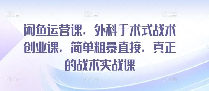 闲鱼运营课，外科手术式战术创业课，简单粗暴直接，真正的战术实战课-百盛轻创