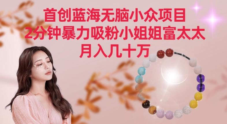 首创蓝海无脑小众项目，2分钟暴力吸粉小姐姐富太太，月入几十万【揭秘】-百盛轻创