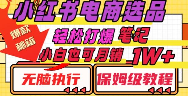 小红书电商爆款选品秘籍，帮你轻松打爆笔记，小白也可轻松月销10000+-小艾项目网