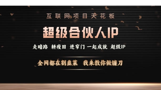 互联网项目天花板，超级合伙人IP，全网都在割韭菜，我来教你做镰刀【仅揭秘】-百盛轻创