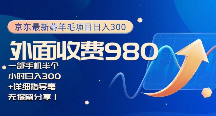 京东最新薅羊毛项目小白怎么做到日入300+一部手机半小时搞定-百盛轻创