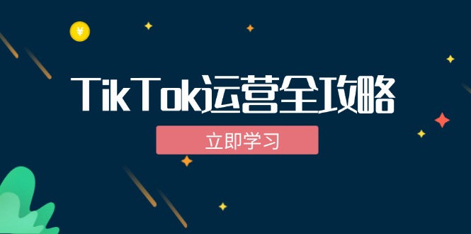 TikTok实战运营全攻略：从下载软件到变现，抖音海外版实操教程-百盛轻创