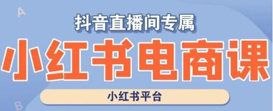 小红书电商高级运营课程,实操教学+案例分析