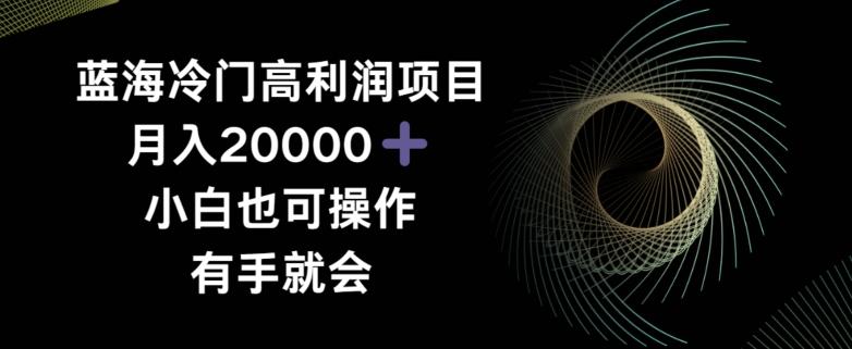 蓝海冷门高利润项目月入2000，小白也可操作有手就会-百盛轻创